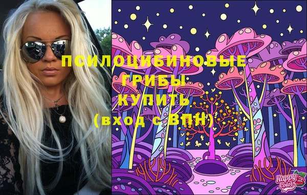 spice Новозыбков