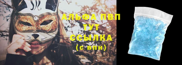 индика Нязепетровск