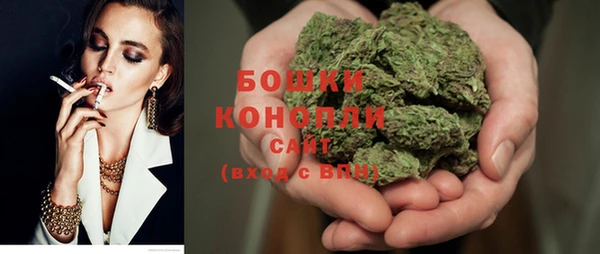 spice Няндома