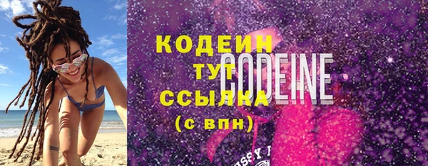 индика Нязепетровск