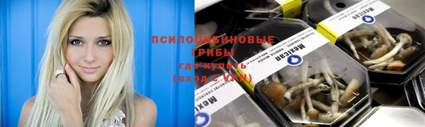 соль ск Нягань
